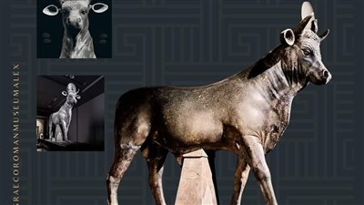   وفد وزارة النقل الليبى يزور المتحف الرومانى بالاسكندرية 