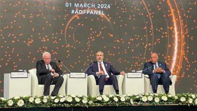 شكري: مصر تبذل كافة المساعي لوقف إطلاق النار في غزة قبل رمضان