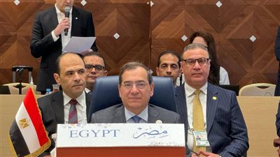 حضور مصرى فاعل فى القمة السابعة لمنتدى الدول المصدرة للغاز بالجزائر