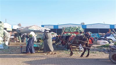 الناس بتكلم نفسها