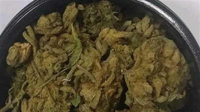 ضبط كمية من مخدرى الحشيش والماريجوانا بحوزة راكبين انجليزي بمطار الغردقة 