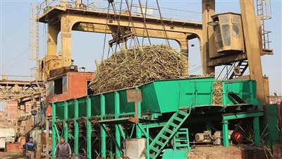 حقيقة بيع مستثمر إماراتي مصنع سكر في الصعيد لإسرائيل.. فيديو