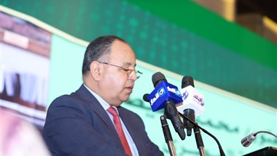 وزير المالية: 77 شركة عالمية تدفع ضرائب في مصر أبرزها 
