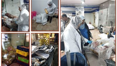 ضبط 9 أطنان لحوم ودواجن وأسماك غير صالحة للإستهلاك الآدمي في الشرقية