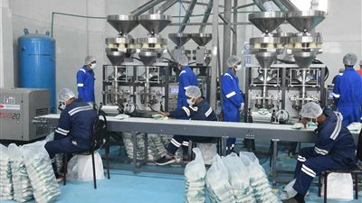  تشغيل وحدة لتعبئة السكر بمصنع قوص جنوب قنا 