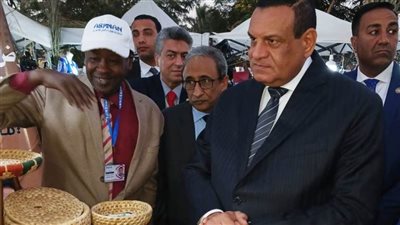 محافظ أسوان يكلف وحدة أيادى مصر للمشاركة بمهرجان 