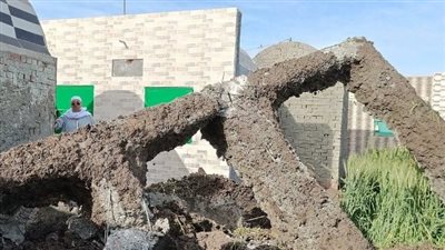 حملات مكبرة لإزالة التعديات على الأراضي الزراعية بالشرقية