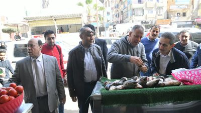  حملة تفتيشية مفاجئة على السلاسل التجارية الكبرى بكفر الزيات