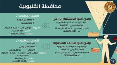 عمل القليوبية تعلن عن توافر 366 فرصة عمل خالية