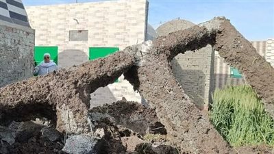 إزالة التعديات على الأراضي الزراعية بديرب نجم