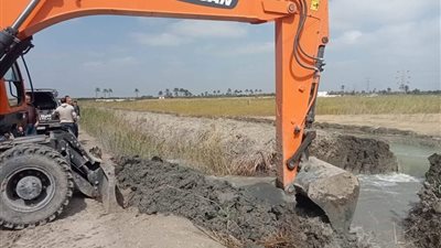 إزالة 5 حالات تعدي على أملاك الدولة بالإسماعيلية 