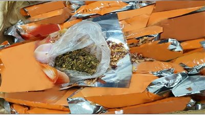 تحت الملابس.. ضبط سائحة ألمانية حاولت تهريب كمية من مخدر الماريجوانا