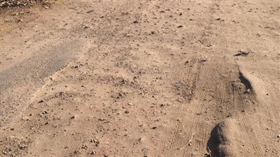 بسبب سوء حالة الطرق الداخلية الغوابين غاضبة من محافظ دمياط 