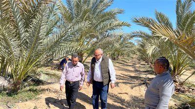 رئيس بحوث الصحراء يتفقد أعمال التطوير بمحطة بحوث بالوظة بشمال سيناء