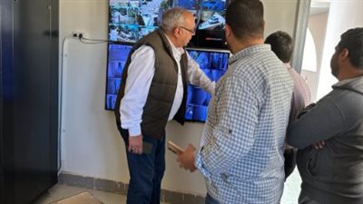  بحوث الصحراء: التوسع في إنتاج شتلات الزيتون ذات الإنتاجية العالية