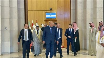 وزير الخارجية يؤكد استراتيجية العلاقات المصرية الخليجية
