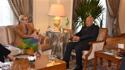   أبو الغيط يستقبل كبيرة منسقي الشئون الإنسانية ويؤكد: حرمان الفلسطينيين من المساعدات قرار بالإعدام