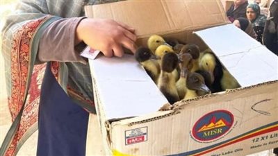 التحالف الوطني للعمل الأهلي يوزع 68 مشروعًا لسيدات قرى بني سويف