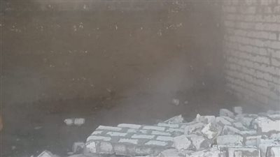 إزالة 33 حالة تعدي بالغربية ضمن أعمال الموجه 22