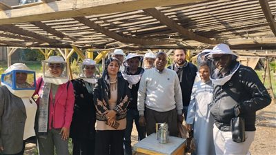 وقاية النباتات: برامج تدريبية تهدف إلى تعزيز إنشاء المناحل في محافظات مصر