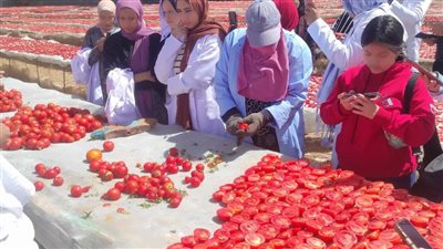  طلاب التصنيع الغذائي بجامعة طيبة يزورون محطة الشهيد ماجد صالح