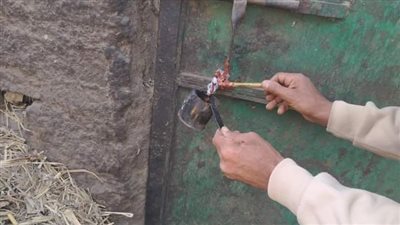 غلق وتشميع ٦ عصارات للعسل الاسود بنجع حمادي