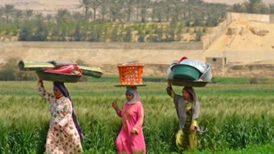 خطوة رائدة لتمكين المرأة الريفية ..مراحل مبادرة 