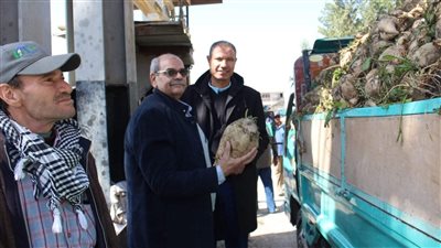 وكيل زراعة الفيوم يتفقد أعمال توريد البنجر بمصنع السكر 