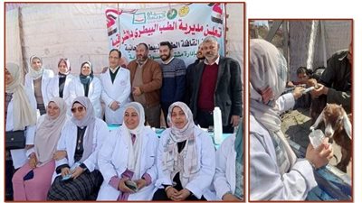 قافلة بيطرية مجانية بقرية أنشاص الرمل في الشرقية