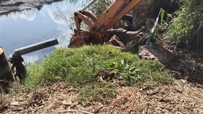 إزالة 12حالة تعد بدمياط ضمن أعمال الموجه 22