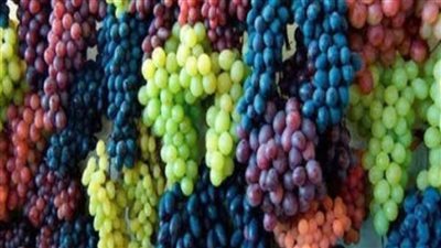 ثمار العنب يزيد من العمر.. دراسة توضح 