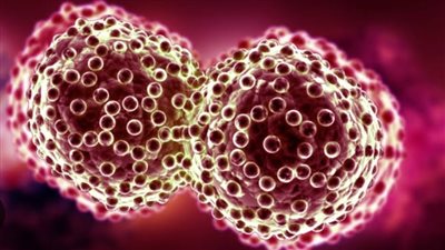 احذروا بدائل السكر تحذف الخلايا السرطانية