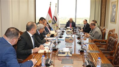 وزير قطاع الأعمال: خطة التحول للأخضر وخفض الانبعاثات تشمل جميع الشركات ومشروعاتنا