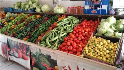 تموين القاهرة: الاعتماد على المجمعات الاستهلاكية لضبط أسعار الخضروات والفاكهة خلال رمضان