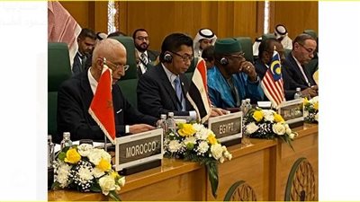 نائب وزير الخارجية: مصر تتحرك في 3 اتجاهات لمساندة أهل غزة