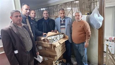 ضبط 32 طن سمك مجمد غير صالح للاستهلاك الآدمي بالبحيرة 