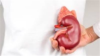 تفاصيل واقعة تجارة الأعضاء داخل مستشفى شهير بمصر الجديدة