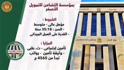 وزارة العمل : 75 فرصة عمل لفتيات الجيزة وسوهاج