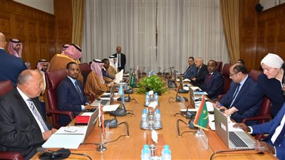   أبو الغيط يشارك في الاجتماع الأول لمجموعة العمل الوزارية العربية المعنية بدعم الصومال