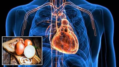 فوائد البصل للقلب والعظام