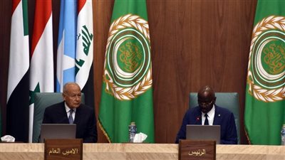 أبوالغيط: مذبحة البطون الخاوية شاهدة على وحشية الاحتلال في غزة