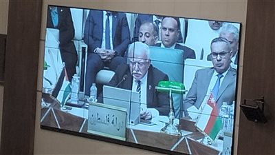 وزير خارجية فلسطين ينتقد عجز المجتمع الدولي عن وقف حرب الإبادة الجماعية في غزة
