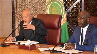 أبو الغيط : ماذا ينتظر العالم بعد أن وضحت معالم الخطة على هذا النحو الفاضح والمخزي في غزة