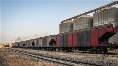 ميناء دمياط يستقبل 41 سفينة و 368 طن بطاطس 