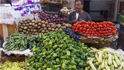 رغم تعويم الجنيه.. توقعات بتراجع معدل التضخم في مصر