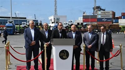 مدبولي: الإفراج عن سلع استراتيجية بـ230.90 مليون دولار