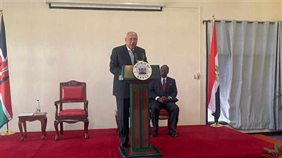 وزير الخارجية يترأس وفد مصر في أعمال اللجنة المشتركة مع كينيا