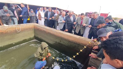 محافظ شمال سيناء يشهد إنتاج مزرعة ام شيحان السمكية