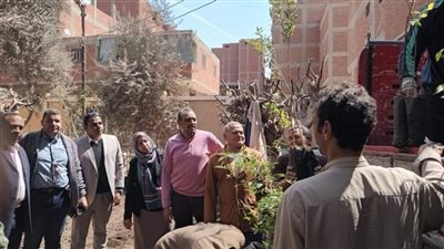 محافظ بني سويف يتابع المبادرة الرئاسية للتشجير