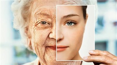 لا يوجد نظام غذائي يحمي الإنسان من خرف الشيخوخة